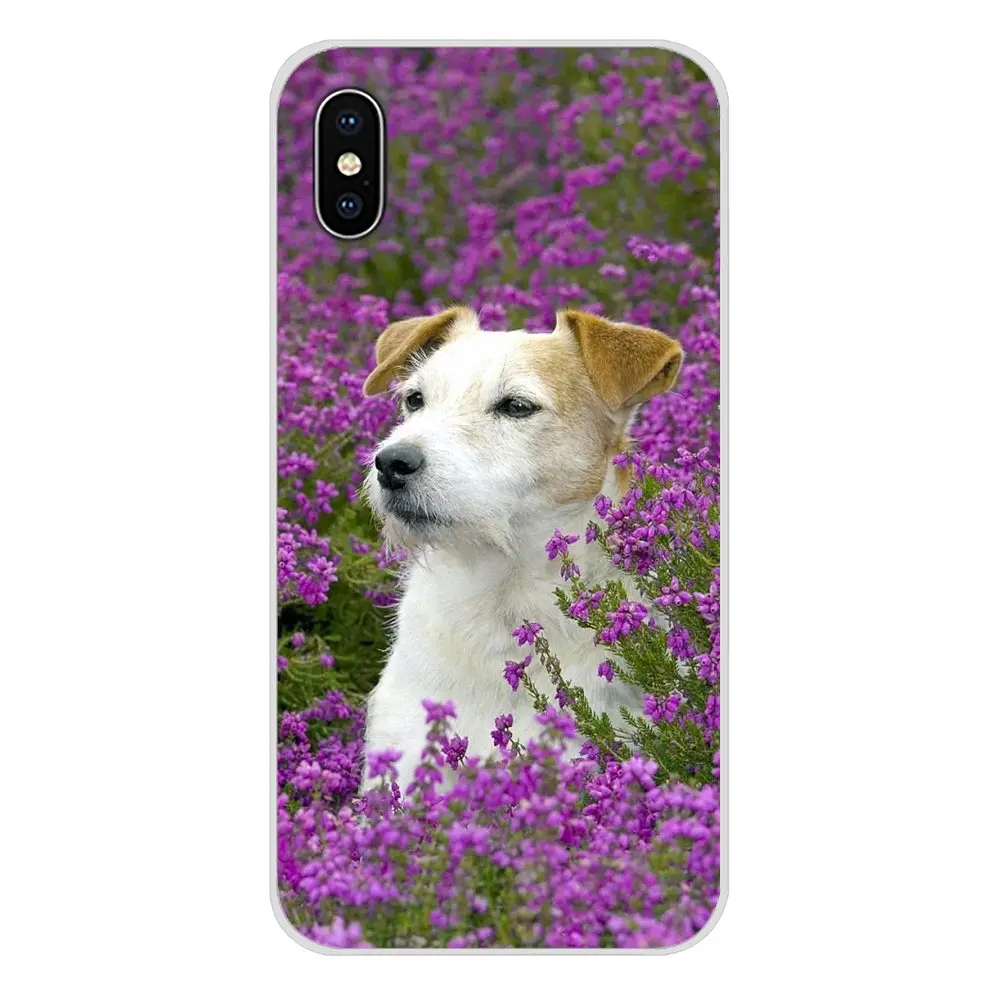 Силиконовый чехол для телефона Jack Russell Terrier Pop Dog Samsung A10 A30 A40 A50 A60 A70 Galaxy S2 Note 2 3 Grand Core