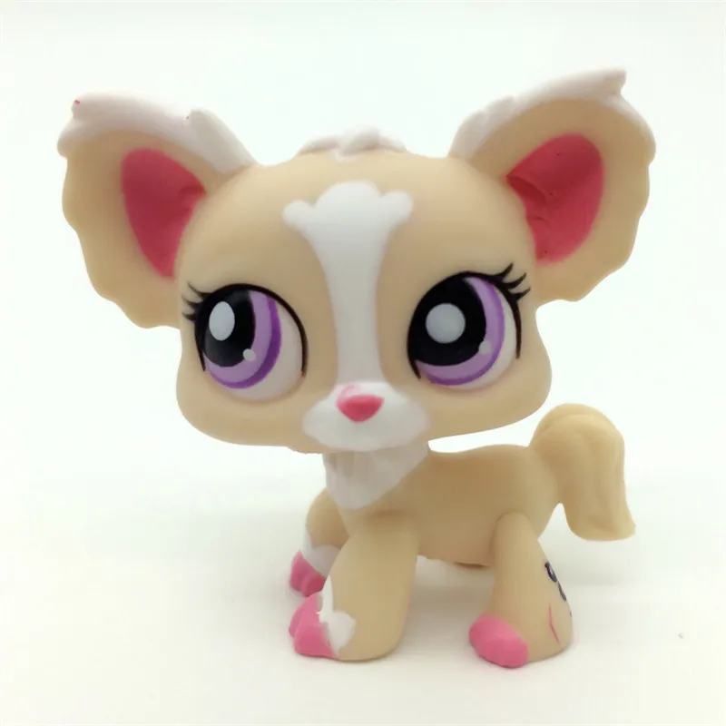 Новая коллекция редких игрушек Lps для домашних животных бесплатная доставка