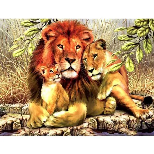 African Lion Family Single Cub |