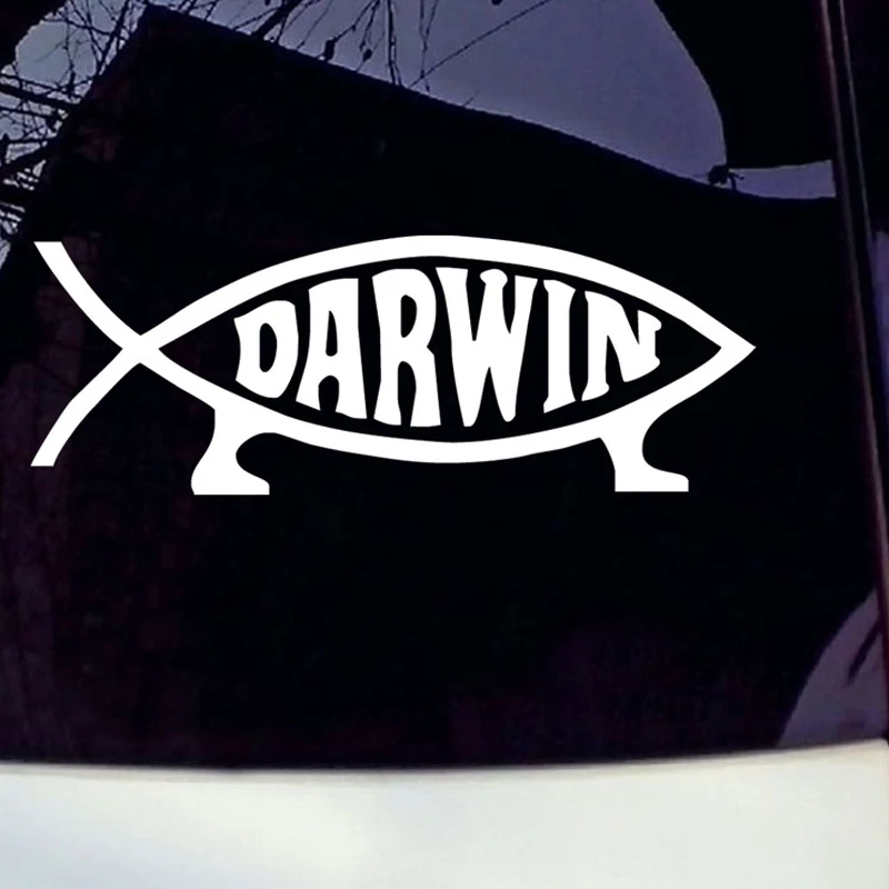 Виниловые наклейки для заднего лобового стекла водостойкие | Автомобили и