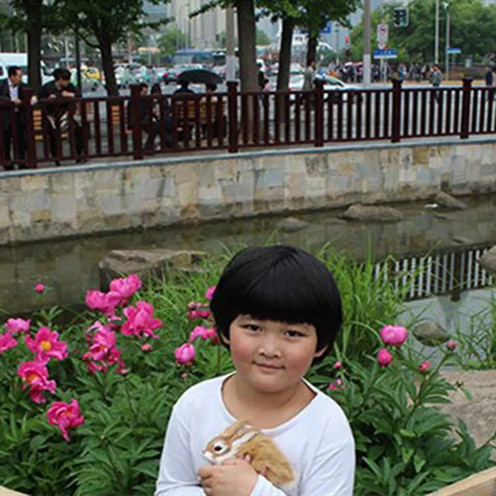 Мини пушной зверь моделирование реалистичные куклы плюшевые кролики мягкие