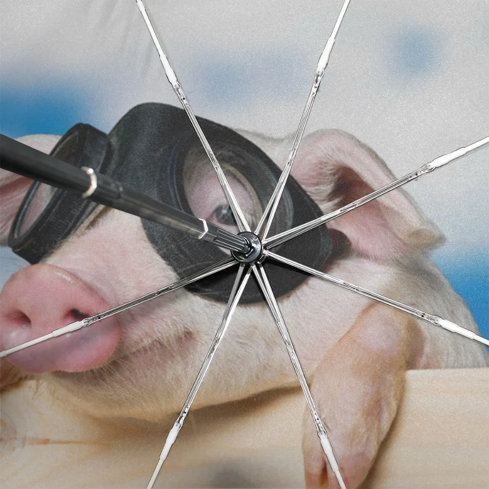 Креативный Зонт Летающая свинья автоматические женские зонты от дождя складной