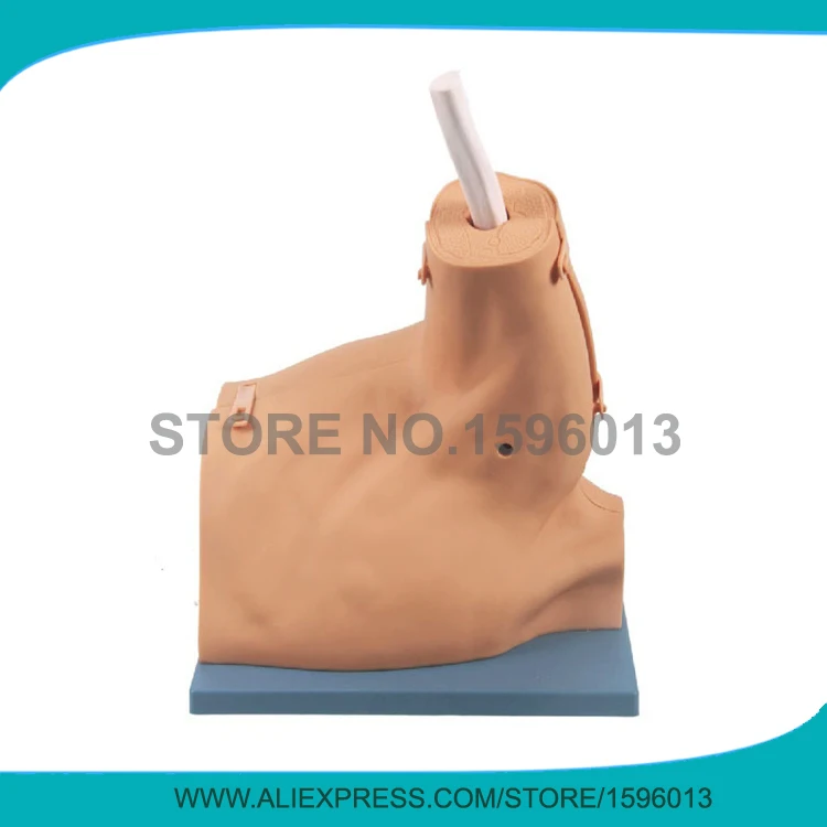 Усовершенствованная модель для артроскопии плеч медицинская Артроскопическая