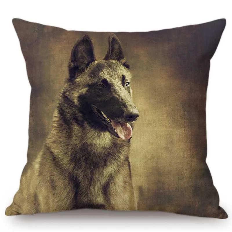 Милые щенки портрет собаки Пудель немецкий Шепард Домашние животные