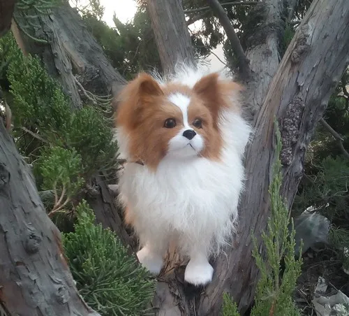 Моделирование милый белый Papillon 28x27 см модель полиэтилен и меха собака модель украшения дома реквизит, модель подарок d339