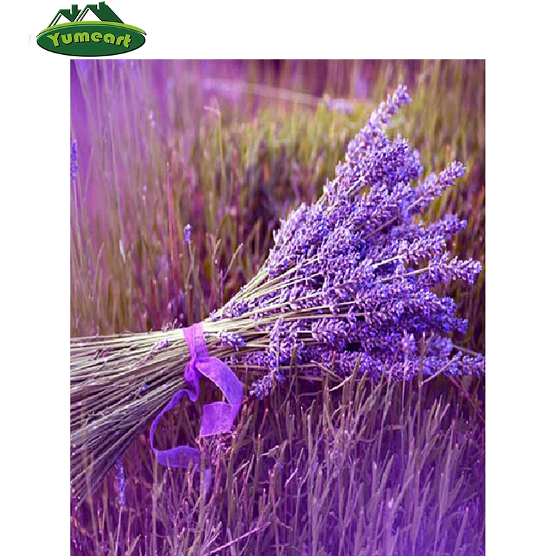 DIY 5D Алмазная вышивка сиреневый рукоделие Новинка квадрат мозаичный узор картина