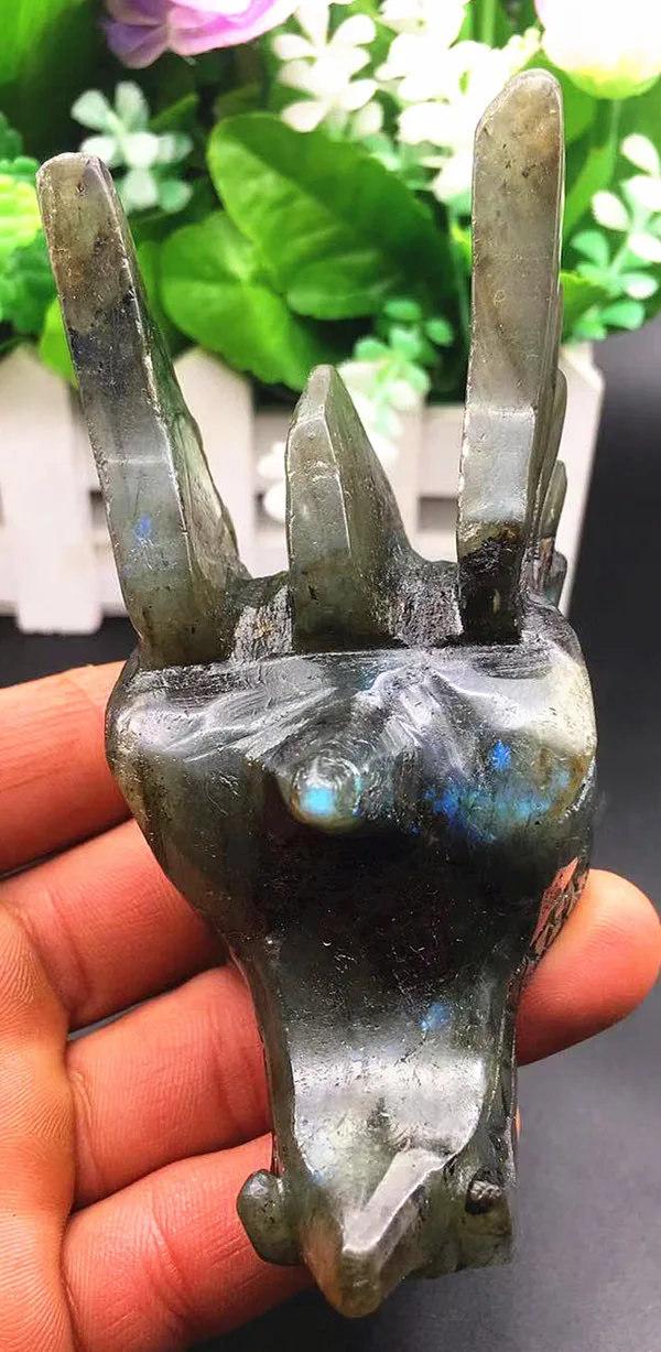 Natural labradorite Dragon Skull/Head crystal healing carving |