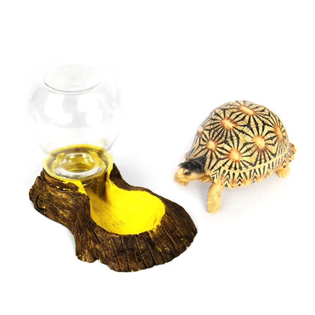 Автоматическая поилка для рептилий и земноводных раковин чаша ящерицы питьевой