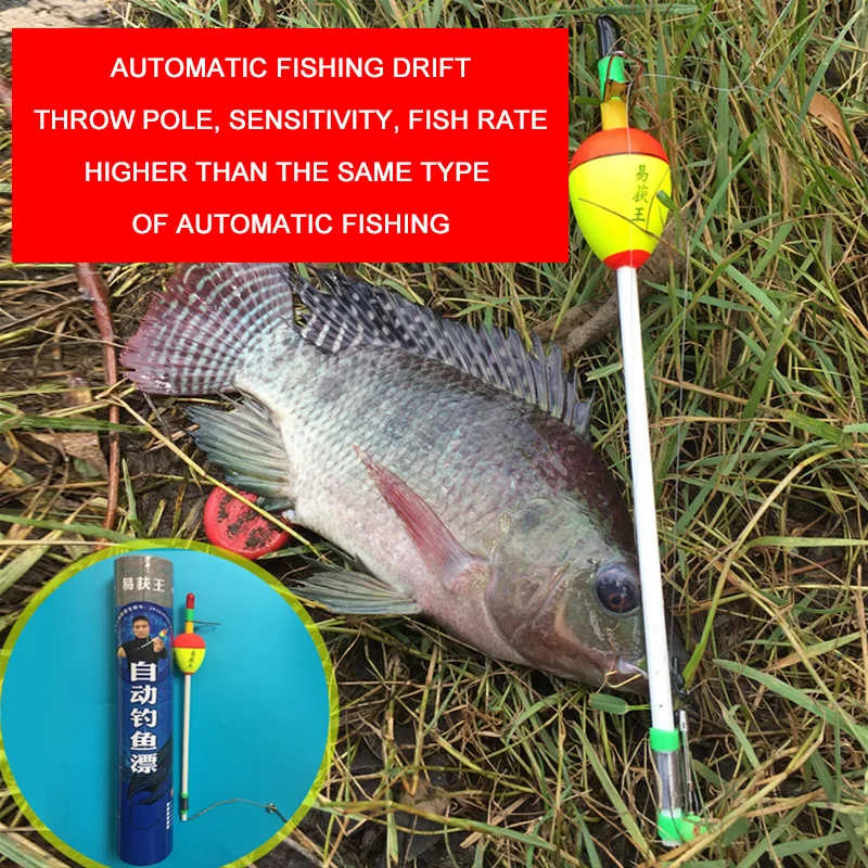 Автоматическая фишинг. Вы можете отправиться на рыбалку ночью. Есть 12 видов