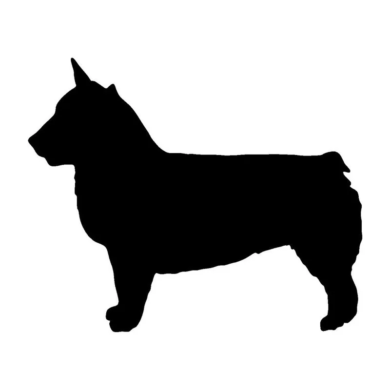 

16.6*13.6CM Swedish Vallhund Car Cover Scratches Animal Stickers Personalized Car Accessories C6-0929