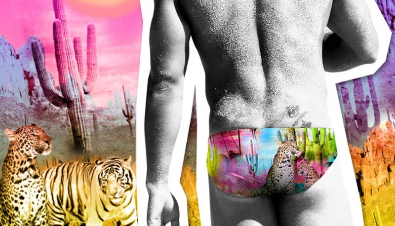 Swimming Men Beach Pool Sexy Swimsuit Hot Swim Trunks Speedo Swimwear Man Low Waisted Boy Swimming Wear Print Animal Birds Swim