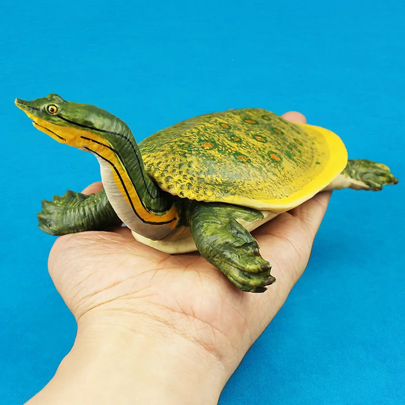 

Simulation Turtle Static Plastic Toy Tortoise Model PVC Cognition Model Toy Gift