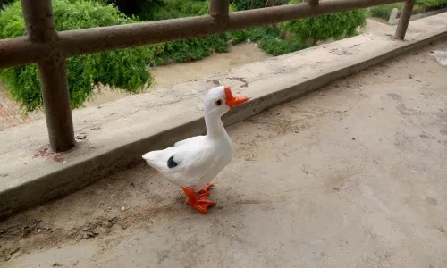 

new simulation white goose 13x12cm toy lifelike goose model home decoration gift t257