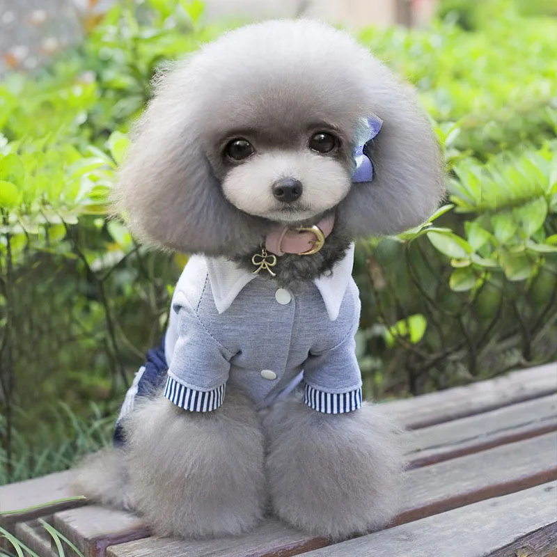 Повседневная одежда для щенков костюм собак и кошек модная серая футболка