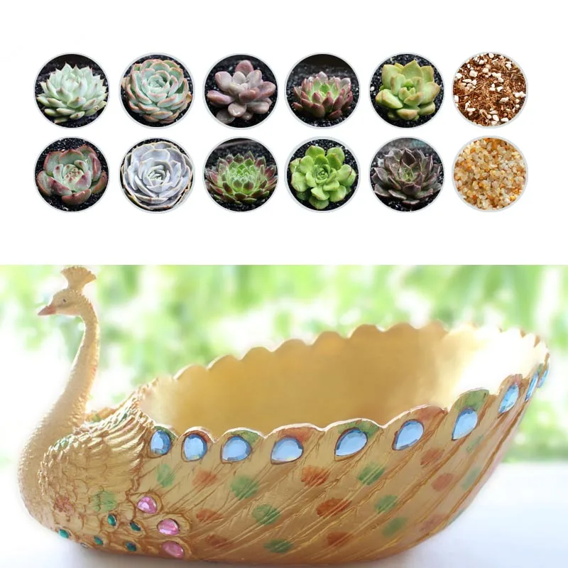 

Creative Peacock Succulent Plants Bonsai Flower Pots Resin Crafts Garden Planter Desktop Plants Pot Home Decor Flowerpot Wedding