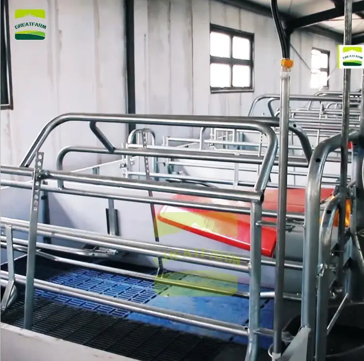 stainless steel Китайская Современная свинья ферма с полностью автоматизированной системой подачи жидкости 3000 свиней весь дизайн технологии выход Оборудования поставка - Цвет: stainless steel