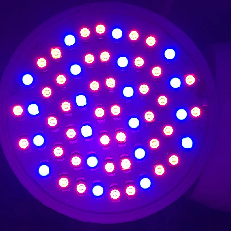 60 led светильник для выращивания растений, лампа 5 Вт E27, светильник для выращивания s, зажим для лампы, держатель для гидропоники, Цветение цветов, растение, для помещений, зеленый дом