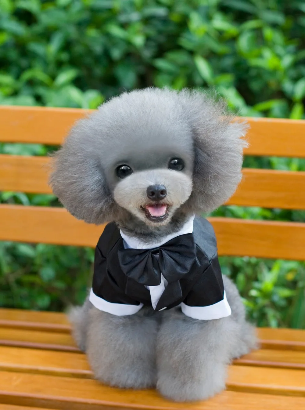 Black Dog Tuxedo Suit Puppy Wedding Clothes Doggie Costume Prince Cute Gentleman Bow Tie | Дом и сад