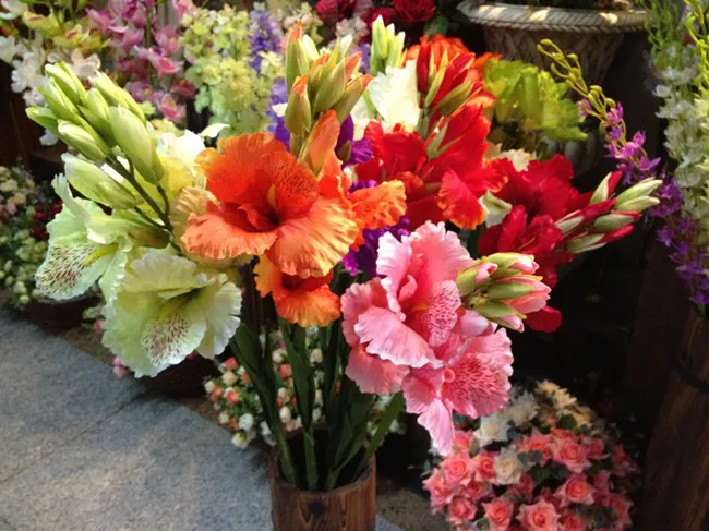

Factory outlets] canna flower factory simulation artificial flowers simulation flower opening with wedding housewarming