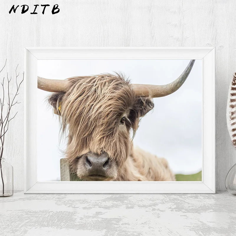 NDITB Highland корова настенная живопись холст постеры с животными и принтами