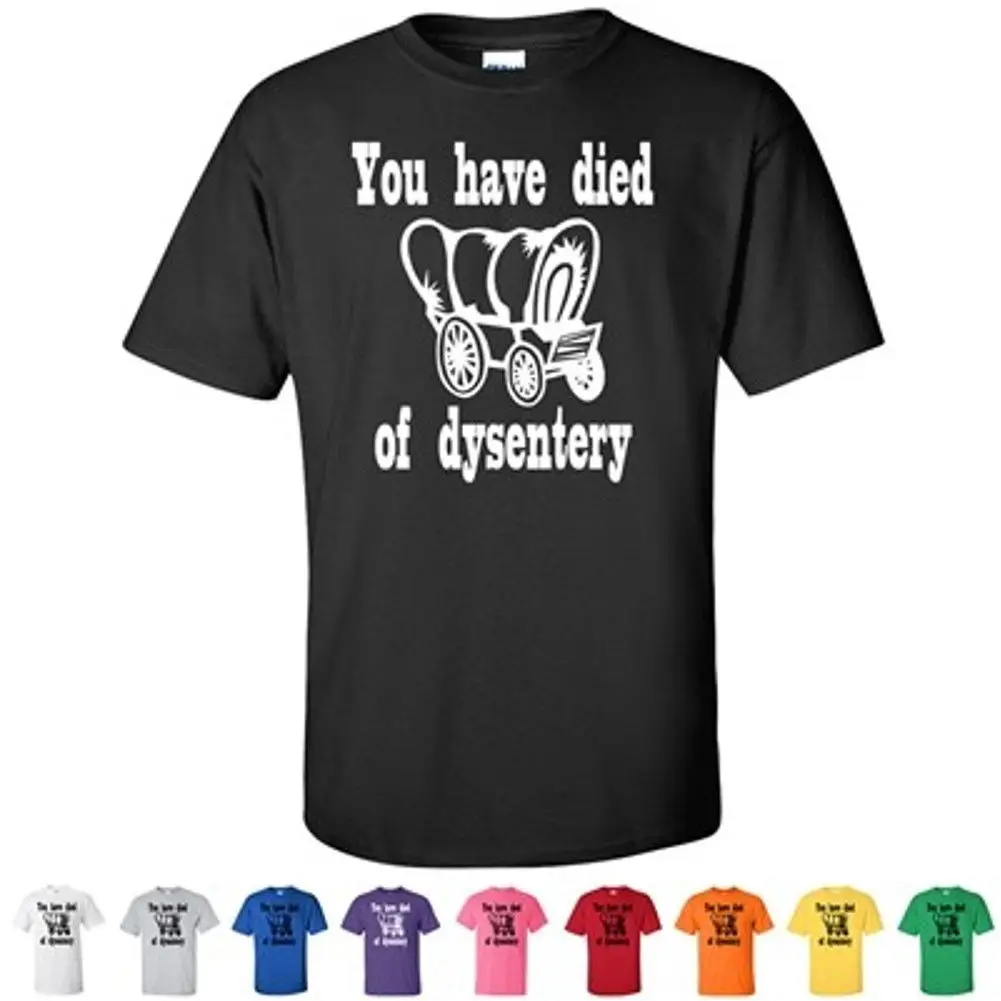Вы умерли от Dysentery Oregon Trail забавные мужские ретро подарки для геймера Футболка