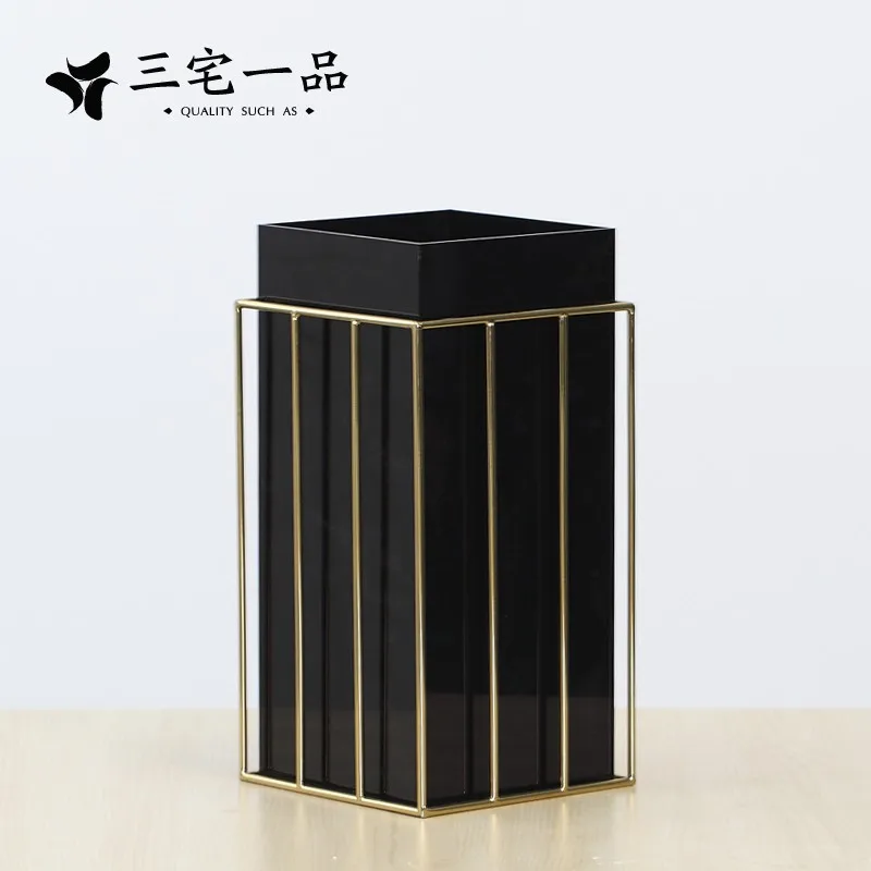 Minimalist Black Titanium Gold Border Acrylic Square Simple Geometry Modern Living Room Desktop Flower Vase | Дом и сад