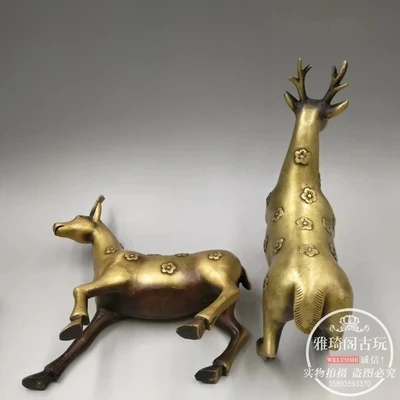

Sika Deer