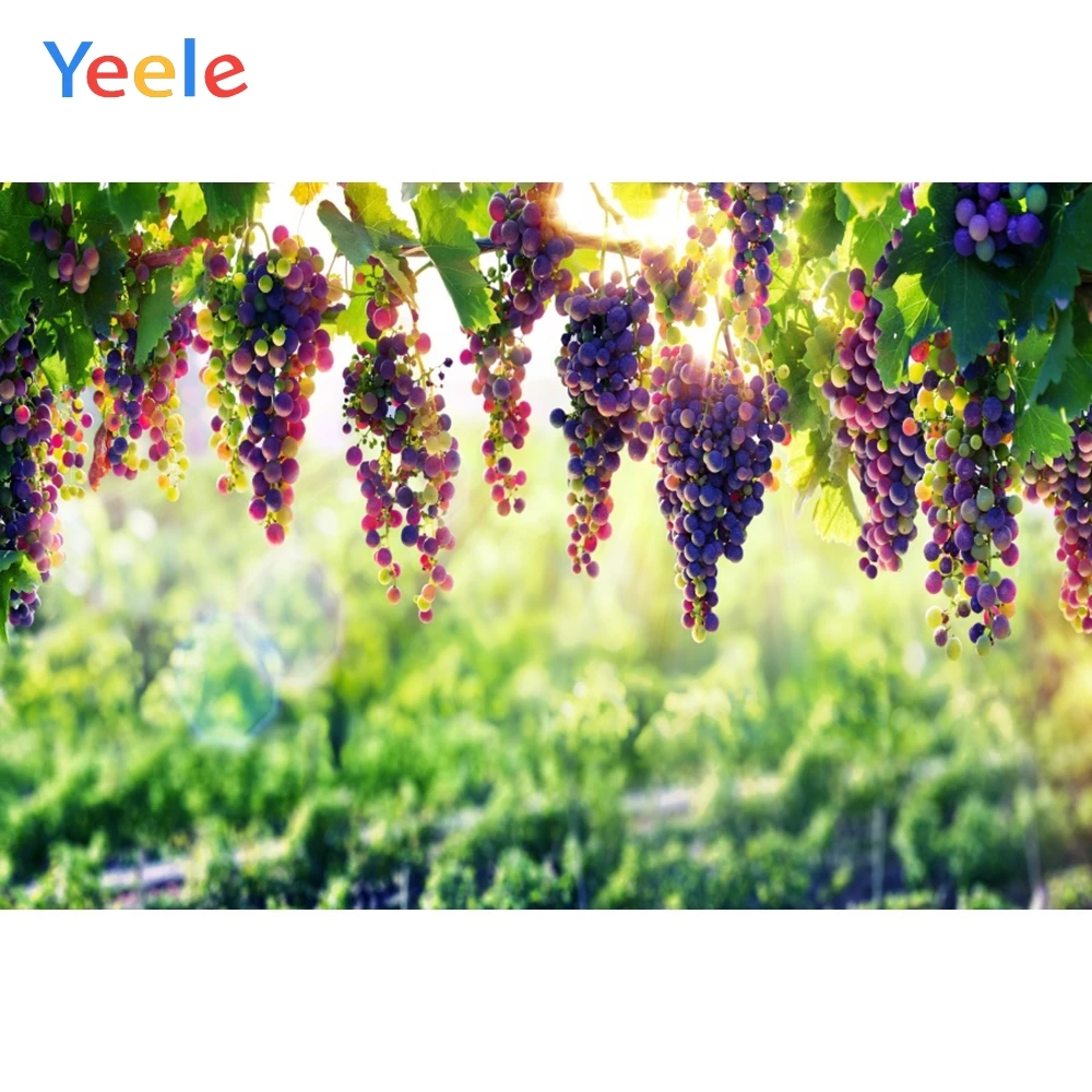 Фоны для фотосъемки Yeele с изображением винограда сада леса солнечного света