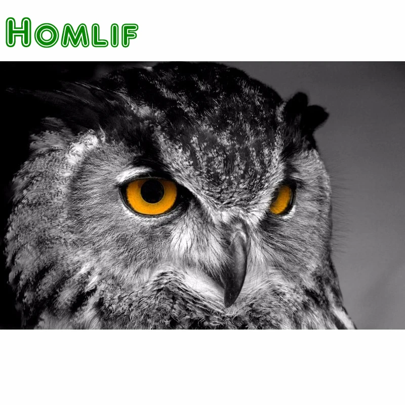 Homlif новый 5D поделки алмазов картина Сова Вышивка полный квадратный алмаз вышивки