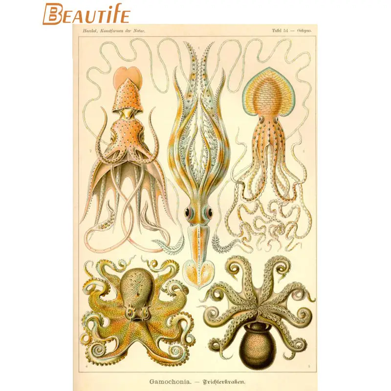 Пользовательские ernst haeckel морской жизни шелковая ткань постер для декорации дома стены искусства новая шелковая ткань стены плакат печать - Цвет: poster