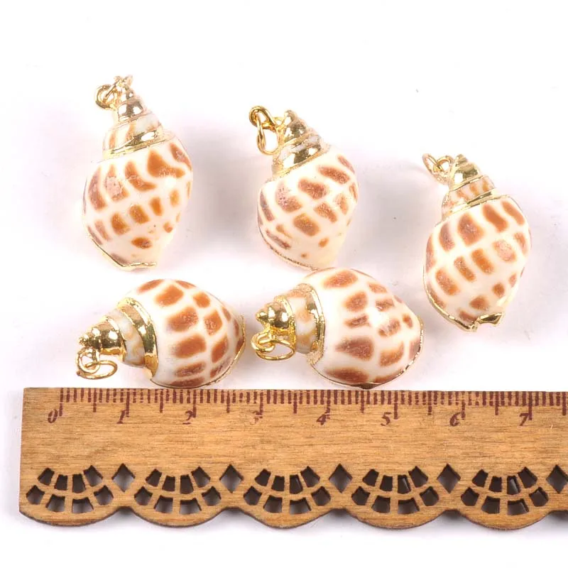 5 шт. спиральные ракушки с позолотой 18-30 мм | Дом и сад
