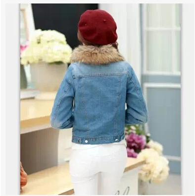 Повседневная Рекомендуемая короткая модная женская верхняя одежда с перьевым