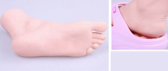 Женская левая яркая ступня фотоэскиз модель торса искусство | Дом и сад