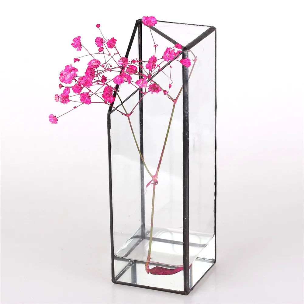 Аквариумные водные растения длинная четырехугольная призма геометрическая