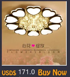 Современный LED блеск Luminarias Para Sala светодиодные лампы для дома проход, коридор, балкон кухня вход светильники