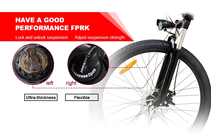 Большой радиус вынос Быстрая электрический велосипед Грузовой e-bike