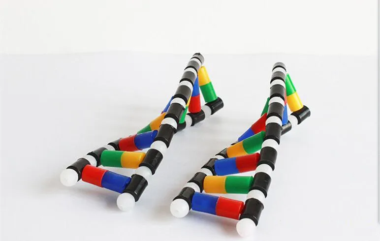 Анатомическая модель скелета человеческого мозга структуры DNA odontologia двойная