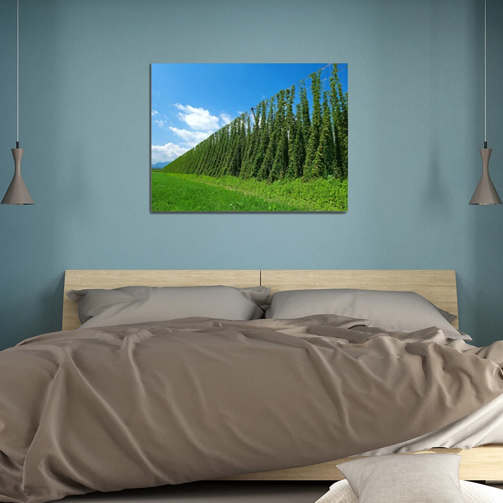 Blue Sky Green Grass Plants Countryside Unique Gift Wall Decor No Frame Art Pictures Printed For Home Decoration Mural Wallpaper | Дом и сад