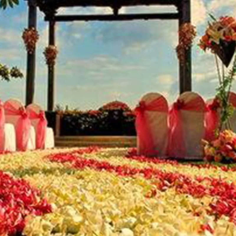 

Fashion 2018 New Wholesale 5000pcs/lot Atificial Flowers Polyester Wedding Decorations Wedding Rose Petals patal Flower