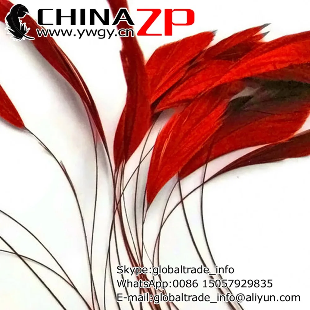 

Gold Manufacturer CHINAZP Crafts Factory www.ywgy.cn 100pcs/lot Good Quality Dyed Red Stripped Coque Tail Feathers