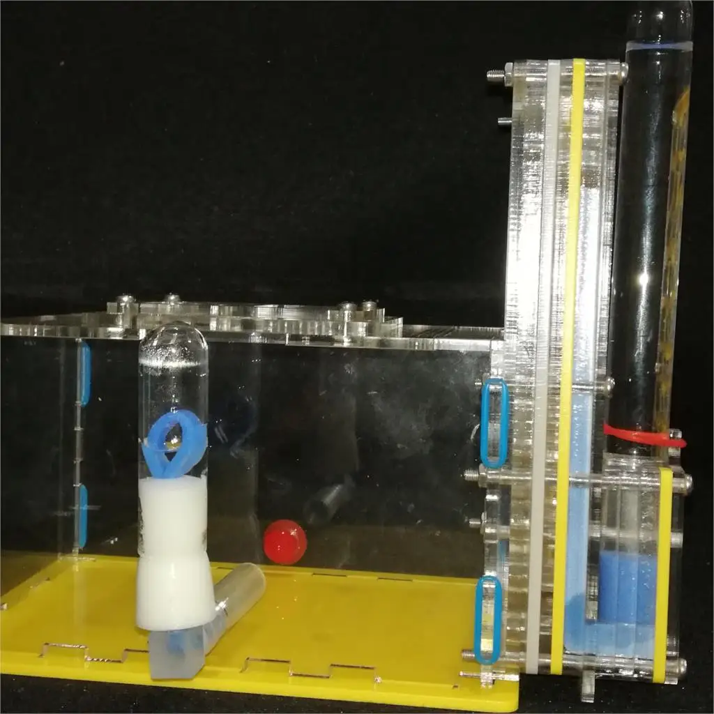 DIY Муравьиное гнездо с областью кормления муравьиная вилла ферма акриловые насекомые муравьиные гнезда вилла домашнее животное мания для Домашние муравьи насекомое вилла дом