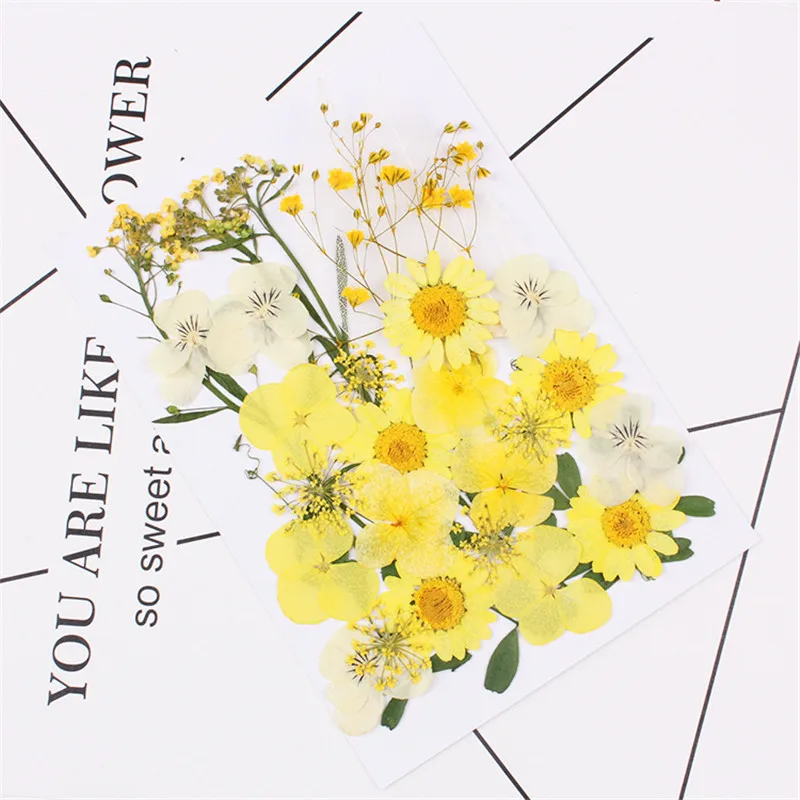 Прессованные натуральные сухие цветы для изготовления ювелирных изделий из