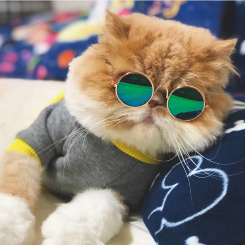Pet очки, солнцезащитные очки с оправой Мишка, собака, кошка очки, аксессуары для домашних животных, модные забавные головные уборы очки «кошачий глаз» A10897