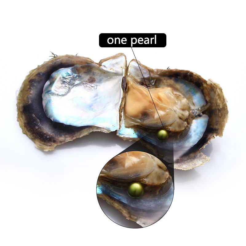 10 шт. Akoya Oyster с одной красивой оливково-зеленый 6-8 мм Круглый AAA жемчуг в вакуумпосылка, цена, лучший подарок