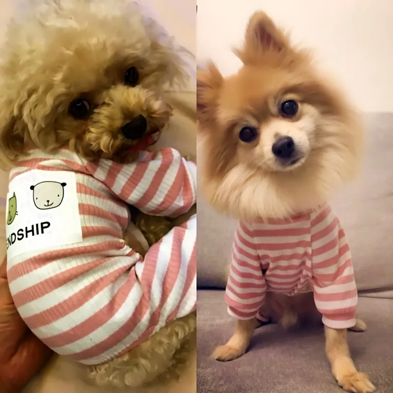 Bigeyedog Хлопковая пижама для собак комбинезон одежда для собак пижама костюм для маленькой собачки одежда для домашних животных pijama perro товары для домашних животных
