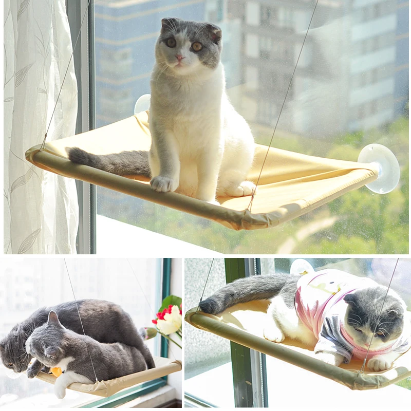 

Cat Window Bed Sunbathing Hammock Cup Easy Installation Window pet Cat nest Cat suction cup hanging hammock Removable