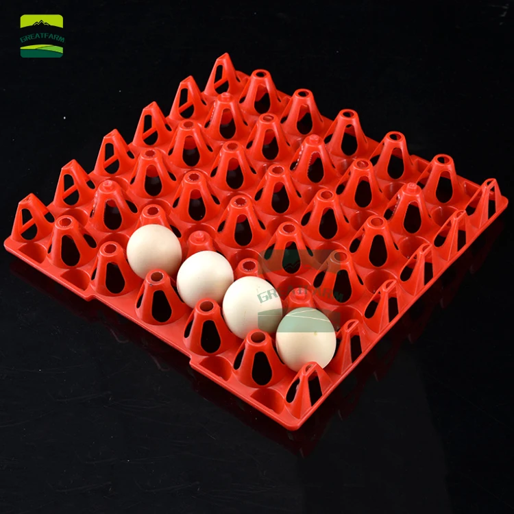 Контейнер для хранения куриных яиц контейнер 10 шт. 30 | Дом и сад