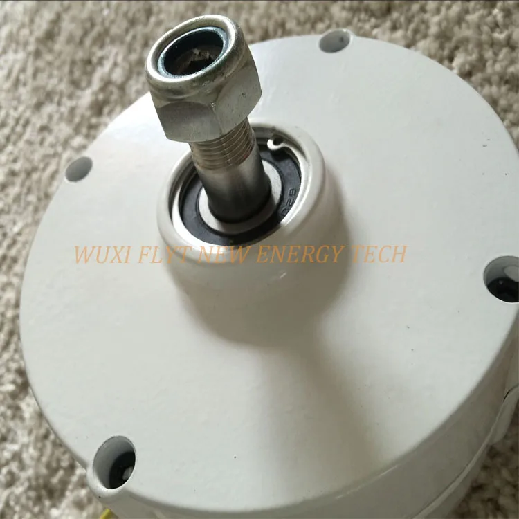 Генератор постоянного магнита переменного тока 200ws 12 В генератор для