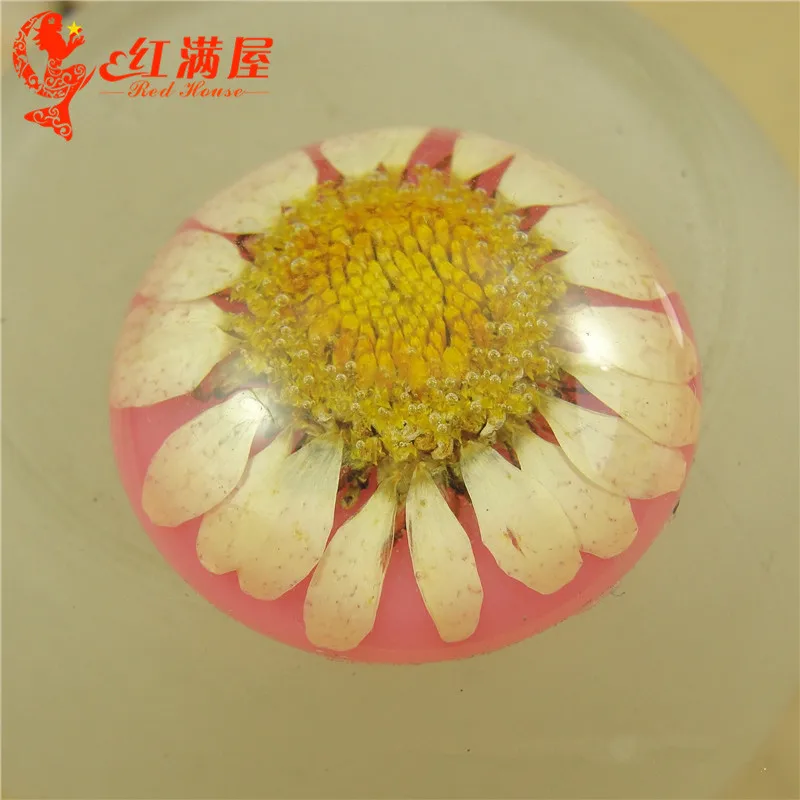 10pcs 25MM Real daisy dry flower resin cabochon round dried flatback floral scrapbooking jewelry making handmade | Украшения и