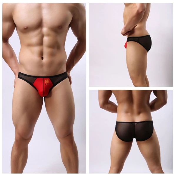 

Brave Person Brand Underwear High Quality Men's Briefs Transparent Mesh Sexy Underpants Men Brief 4 Color Sale